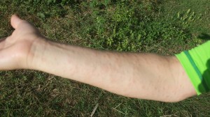 20150813_082156_resized